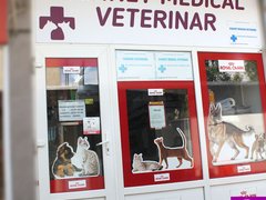 Estela Pet - cabinet veterinar