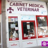 Estela Pet - cabinet veterinar